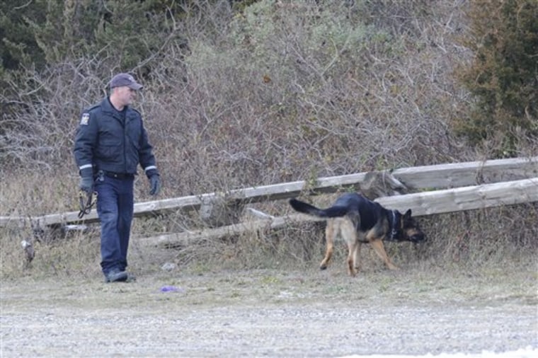 K-9 unit police use a cadaver dog to search an area in Oak Beach on Thursday on New York's Long Island, as authorities continue scouring a 10-mile stretch of beach access road where four bodies were discovered this week.